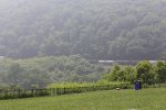 Horseshoe Curve